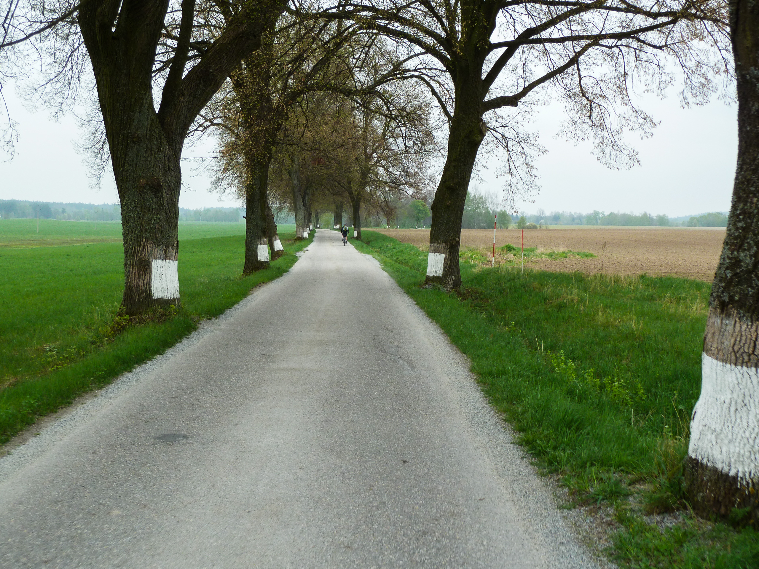 Mühlviertel – Südböhmen